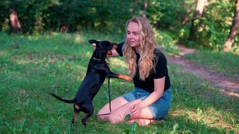 Woman plays with smart cheerful pet Deutscher Jagdterrier dog outside during