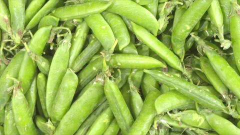 Freshly harvested peas in pods in bulk, lush green texture, garden harvest