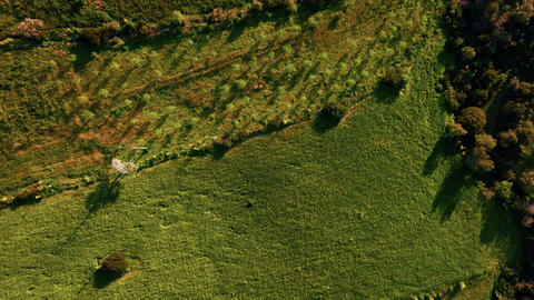 Green valleys in Calabria with organic farming