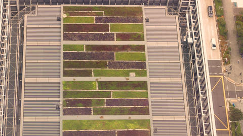 Rooftop gardens on buildings creating elevated urban natural environment system