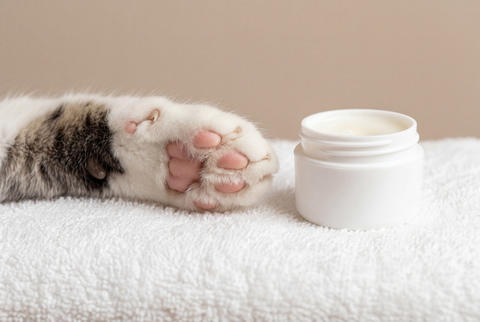 A cat paw resting on a soft white towel beside an open white jar of moisturizing pet paw balm
