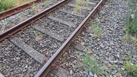 55665744
