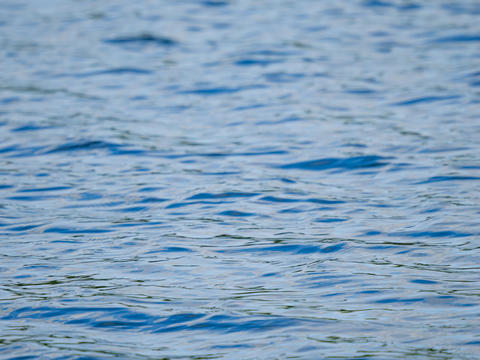 Blue water surface background with gentle ripples