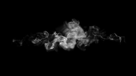 Fast White Smoke Double Sweep Transitions Pack