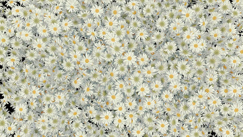 Natura