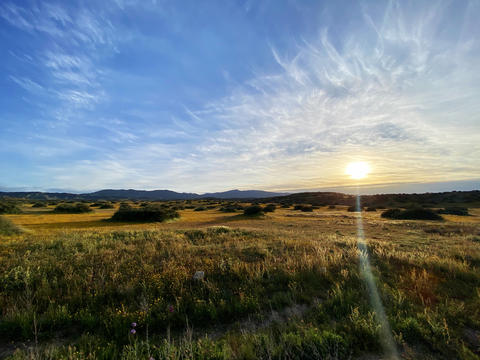 Scenic view of field against sky during sunset (Carrizo plain, California)