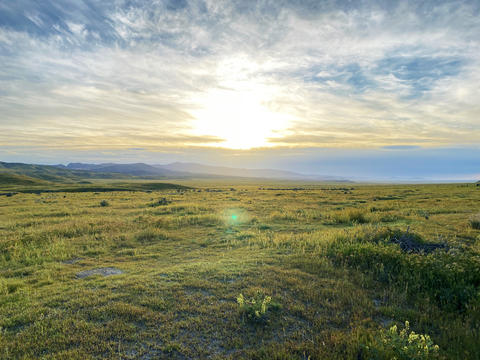 Scenic view of field against sky during sunset (Carrizo plain, California)