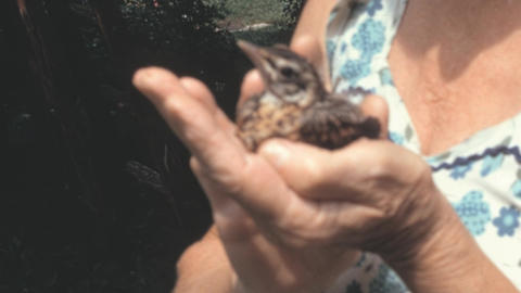 Elderly Woman Cradling Baby Robin Bird in New York Garden 1960s