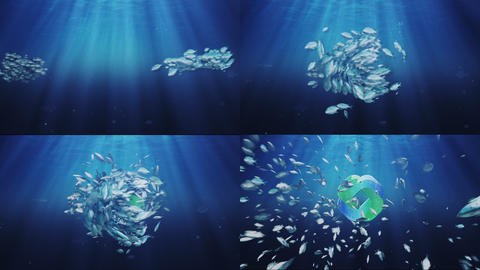 Ocean Sea Eco School Of Fish Logo