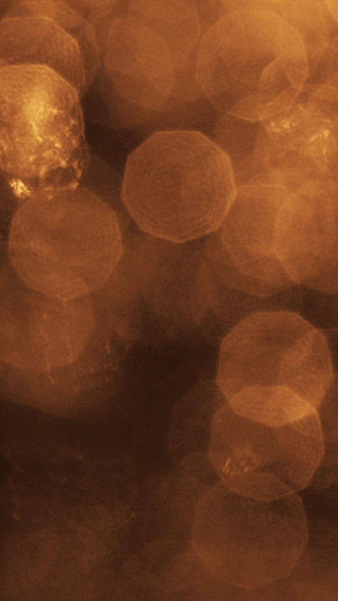 Light Leak Lens Flare Golden Warm Transition Overlay Vertical Video (20)