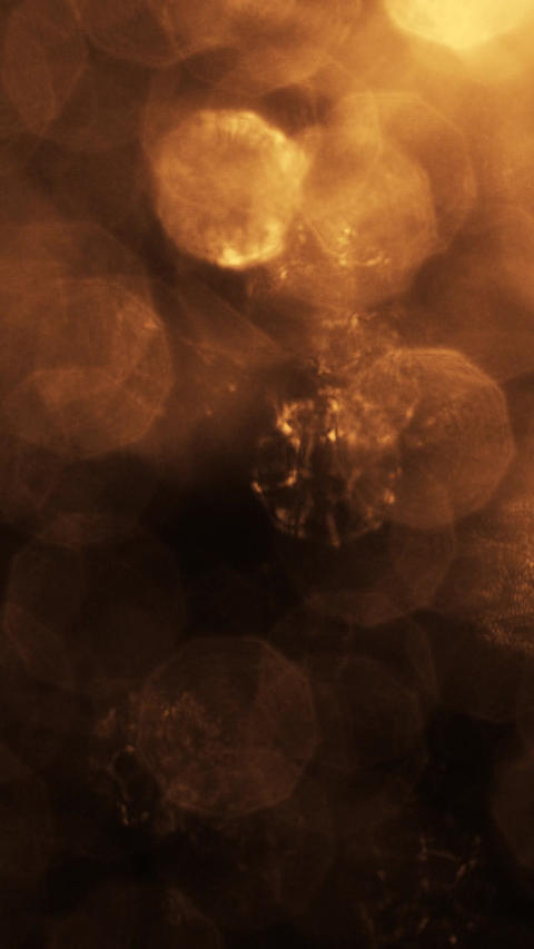 Light Leak Lens Flare Golden Warm Transition Overlay Vertical Video (23)