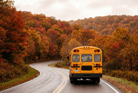 Traditional yellow school bus traveling down a curved road through an autumn forest