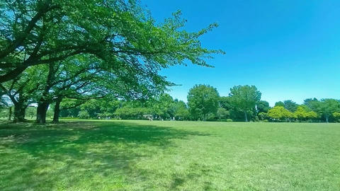 Green Park
