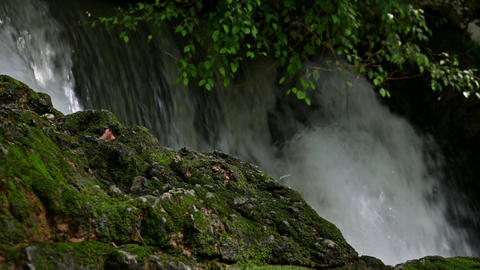 Close-up shot of a moss-covered rock with a powerful waterfall cascading in the background
