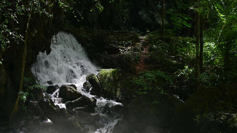 Pristine waterfall cascading over mossy rocks in a lush tropical rainforest
