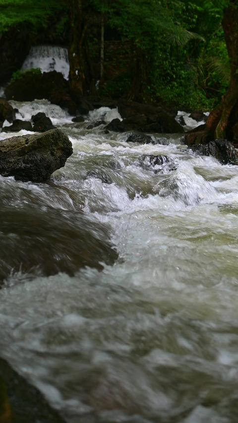 Fast flowing mountain stream with rushing white water over dark rocks in tropical forest