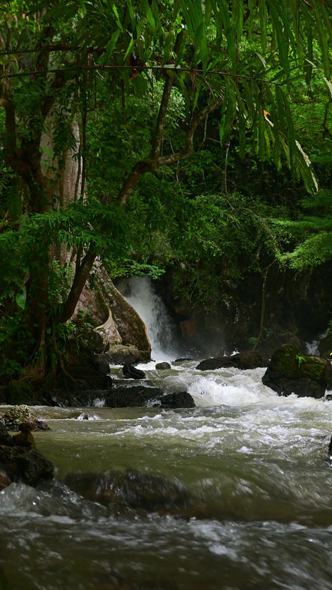 Vertical view of a scenic waterfall cascading over rocks in the middle of a dense tropical jungle