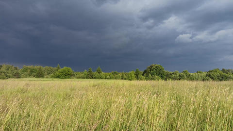 Dark storm clouds gathering over green meadow and forest landscape
