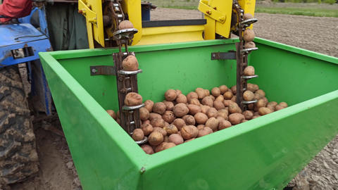 Tractor with potato planter machine working on agricultural field in September