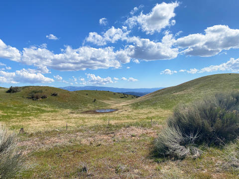 Hilly green pastures and pond, with blue sky with some clouds