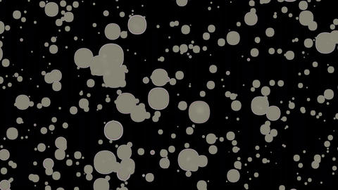 55767078