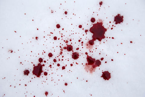 Bright red blood drops splattered across a field of fresh white snow