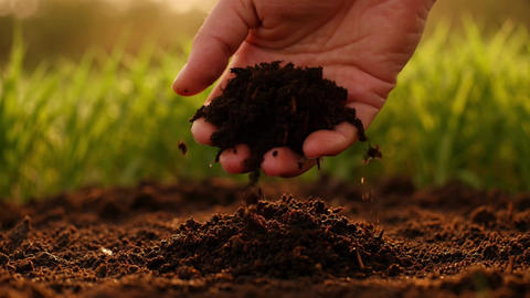 Hand Holding Dark Soil with Green Grass in Background During Golden Hour Featuring Earth, Dirt, Agri