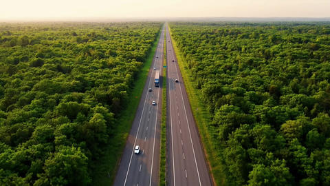 Highway Road with Cars and Trucks Driving Through a Lush Green Forest Landscape Featuring Trees, Nat