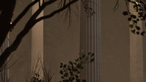 Ancient greek columns with moving tree shadows