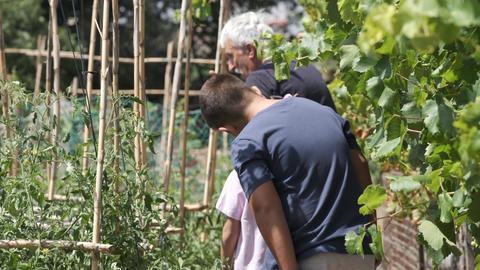 Grandfather explaining techniques to grandchildren while planting at nursery