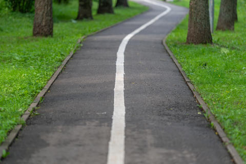 Curved asphalt park path with white center line, trimmed grass borders, tall trees, soft daylight