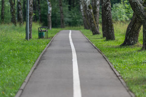 Straight bicycle lane through green park with white center line, birch trees, trimmed grass, soft