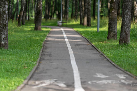 Paved bike and pedestrian path winding through shaded park with birch trees, lush grass, dappled