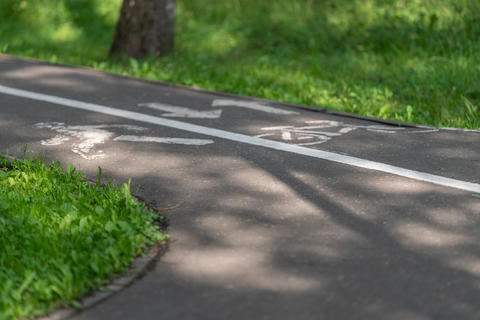Bicycle lane marking on sunlit park path with dappled tree shadows, trimmed grass verge, smooth