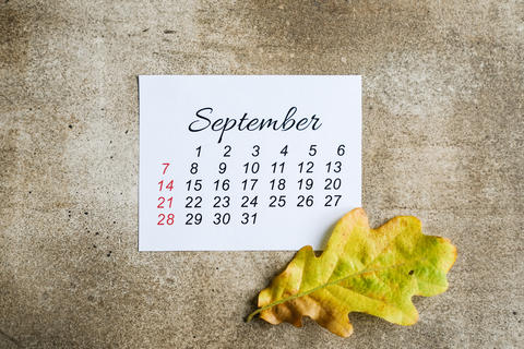 September calendar page with yellow oak leaf on textured concrete background. Autumn concept,