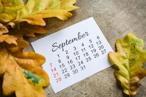September calendar card framed by yellow oak leaves on textured concrete surface. Autumn planning,