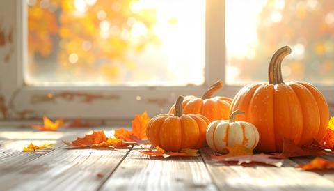Orange Pumpkins with Fall Leaves in Warm Window Light
