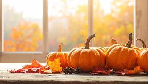 Small Pumpkins on a Wooden Table by a Bright Autumn Window