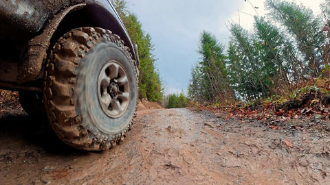 Muddy off road tire beside a rugged track in a conifer forest, Low angle action view of a four wheel