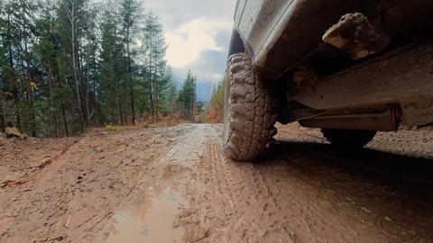 Mud covered vehicle wheel moving slowly across a rough forest road, Ground level view of an off road