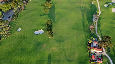 Golf club. People lifestyle. Playing game on green grass. Summer activity. Professional sport