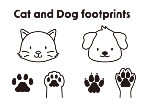 Illustrations of cute cat and dog paws and hands