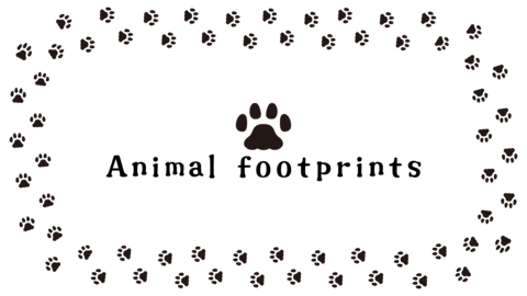 A simple and cute frame featuring animal paw prints, such as those of cats or dogs