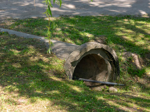 Large Concrete Culvert Pipe in Green Grass
