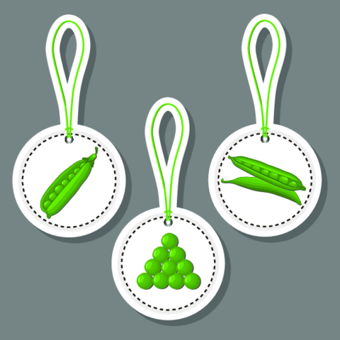 Berry theme from set juicy delicious peas of various sizes