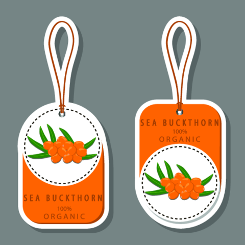 Berry theme from set juicy delicious sea buckthorn of various sizes