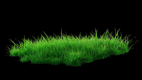 Green grass blades swinging