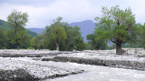 Nature scenery, flowing river