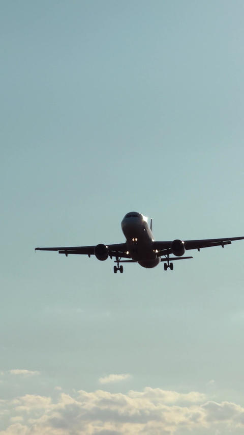 Airplane landing front view blue sky clouds aviation travel commercial flight