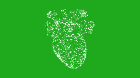 Human Heart in 3D revolving on green screen